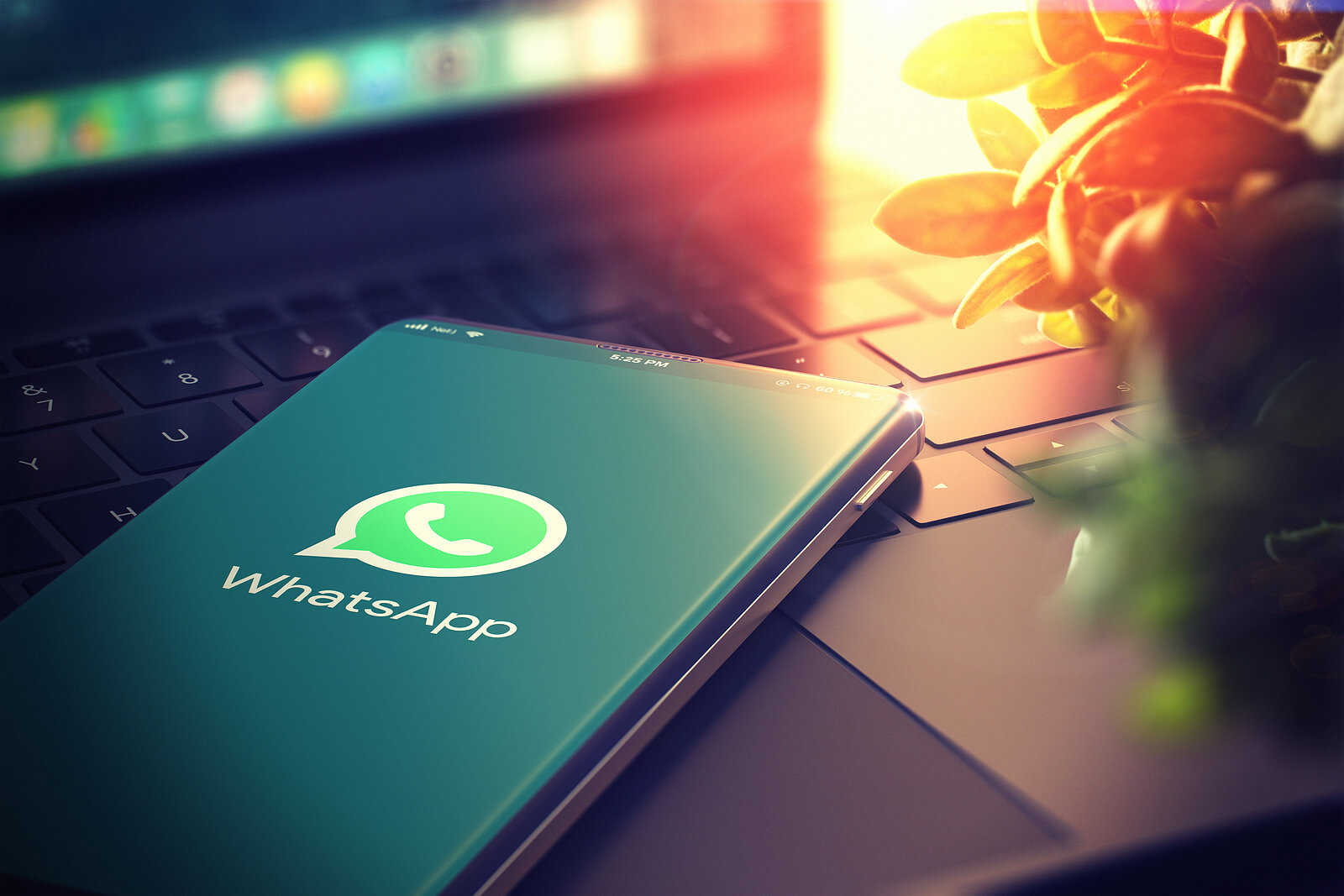 The Role of Dynamic Templates In Improving WhatsApp Chatbots